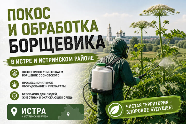 image-3452417